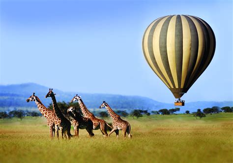 african hot air balloon safari